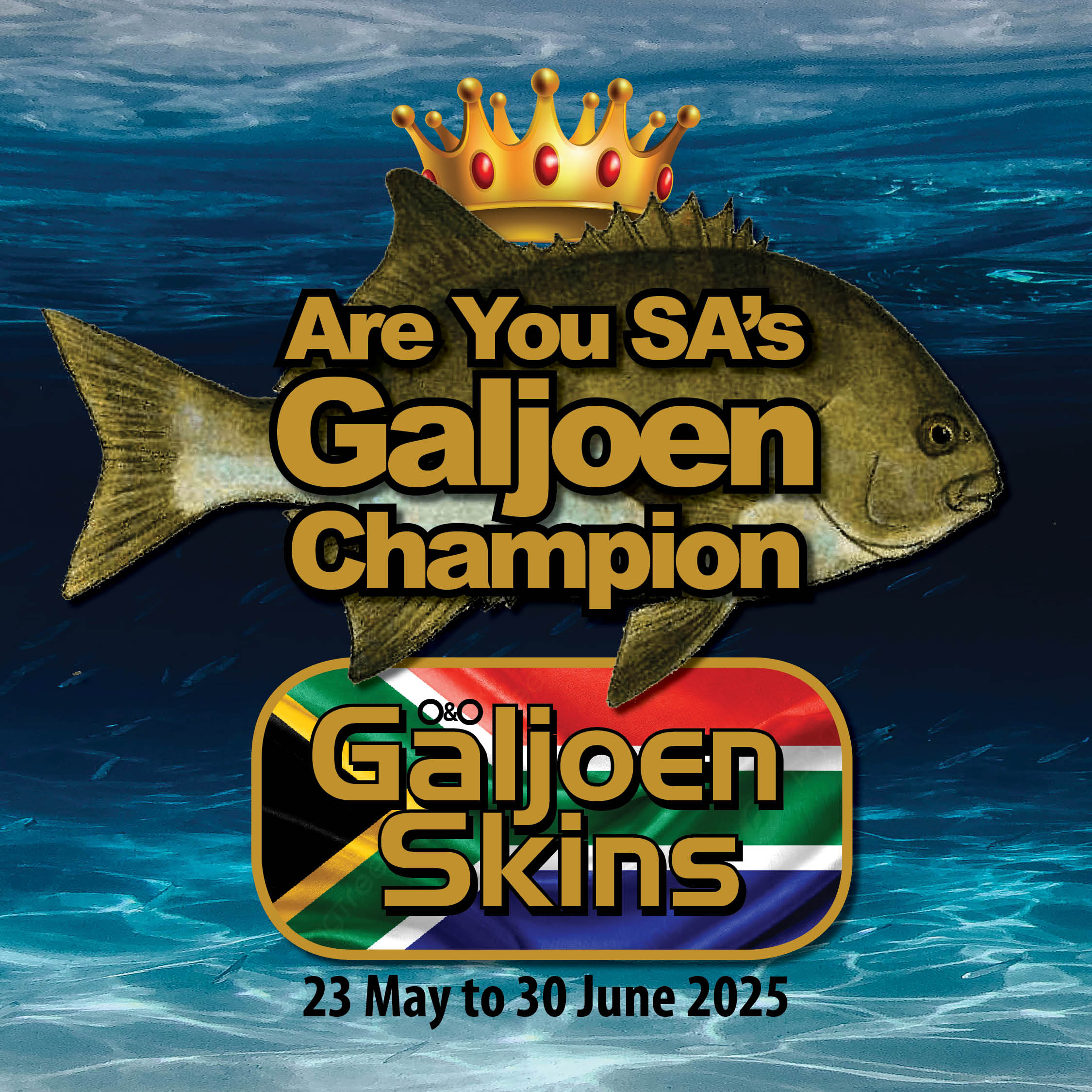 galjoen9